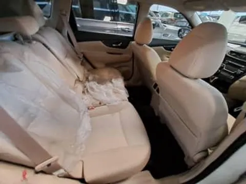 Discover undefined undefined Exterior Interior Images.Find all aspects and details of cars.