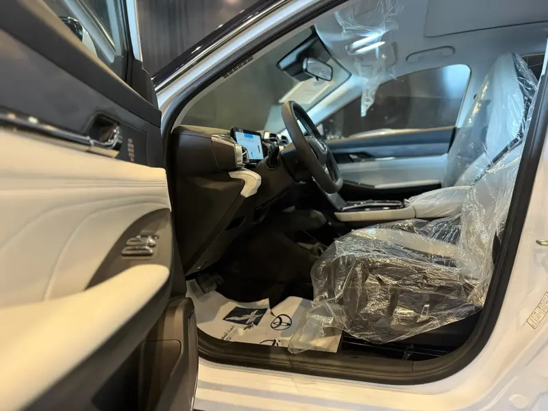 Dongfeng Mage 2025