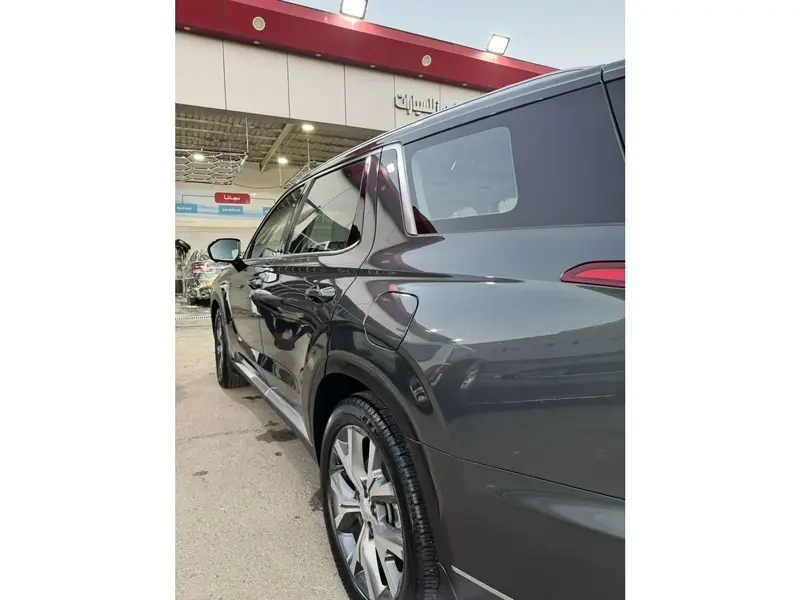 Hyundai Palisade 2020
