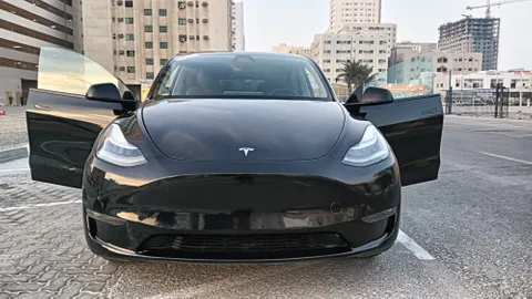 Tesla Model Y Long Range (AWD) 2022