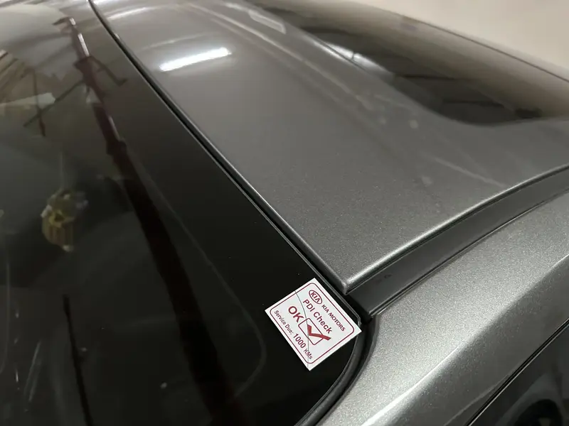 KIA Pegas 2024 EX Fully Loaded (Sun Roof)