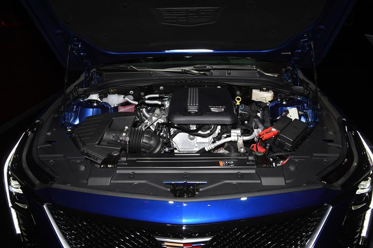 https://gcc-1307444343.cos.accelerate.myqcloud.com/gallery/93807764829d17cfb26eb4d86bc9a62d.jpg