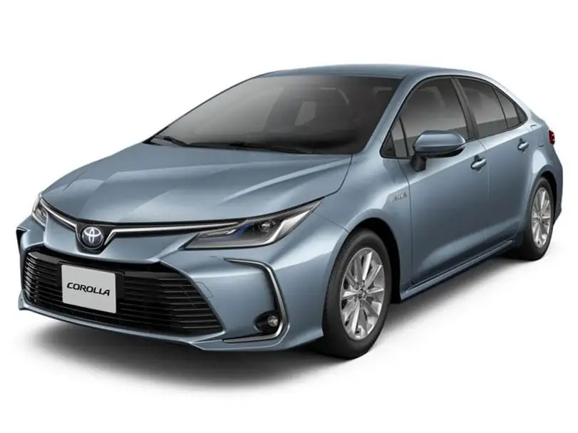 Toyota corolla  Gasoline&Hybrid