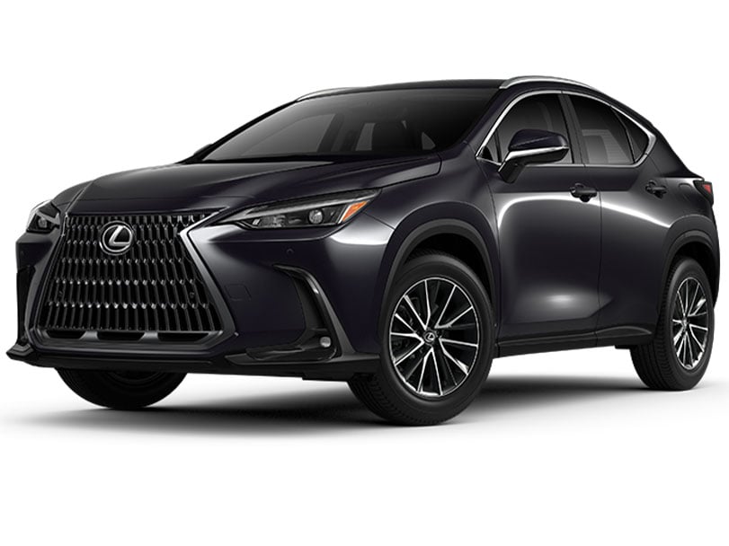 Lexus lexus-nx  Gasoline&Hybrid