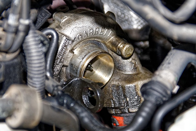 diesel engine oil