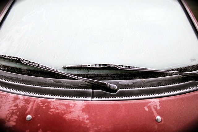 windshield washer fluid