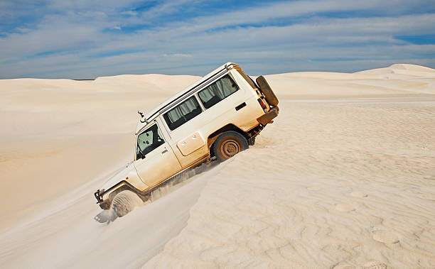 Compare the 2025 Nissan Patrol LE and SE trims. Found key differences in price, features, performance to help you choose the trim that best fits you.
