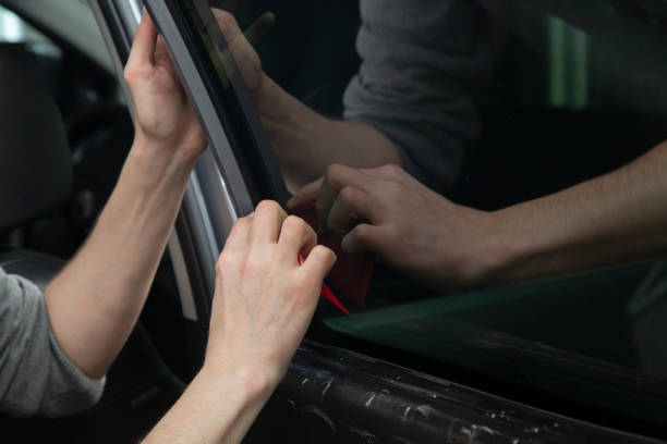 Mustang Shelby GT500 Price: What You Should Know in 2025