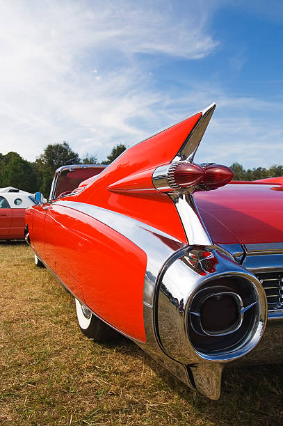 best cars in uae