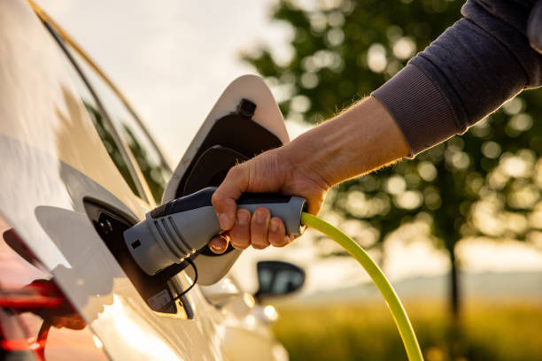 Discover essential maintenance tips, detailed performance specs, fuel efficiency hacks, and future upgrade options for your Toyota Avalon Engine 2025.