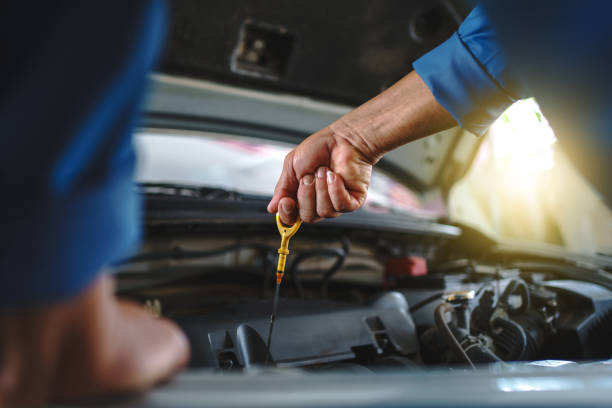 Discover the enhanced Prado 2025 horsepower and engine specs. Learn how its engine improves off-road performance and fuel efficiency for 2025 drivers.